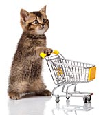kitty-shop-150w